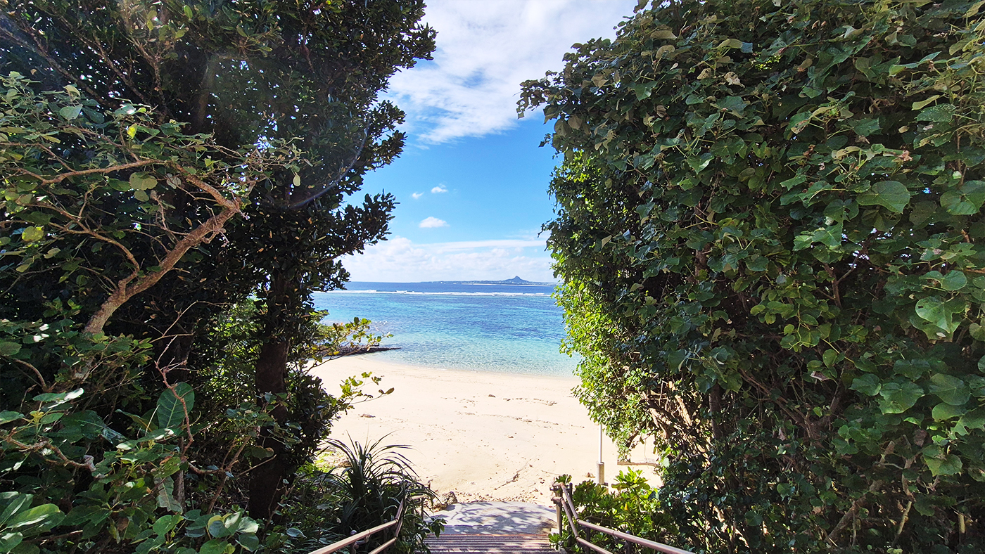 (주)위티브, 2025 오키나와 팀 워크샵 진행 – 협업을 넘어 연결로 나아간 시간