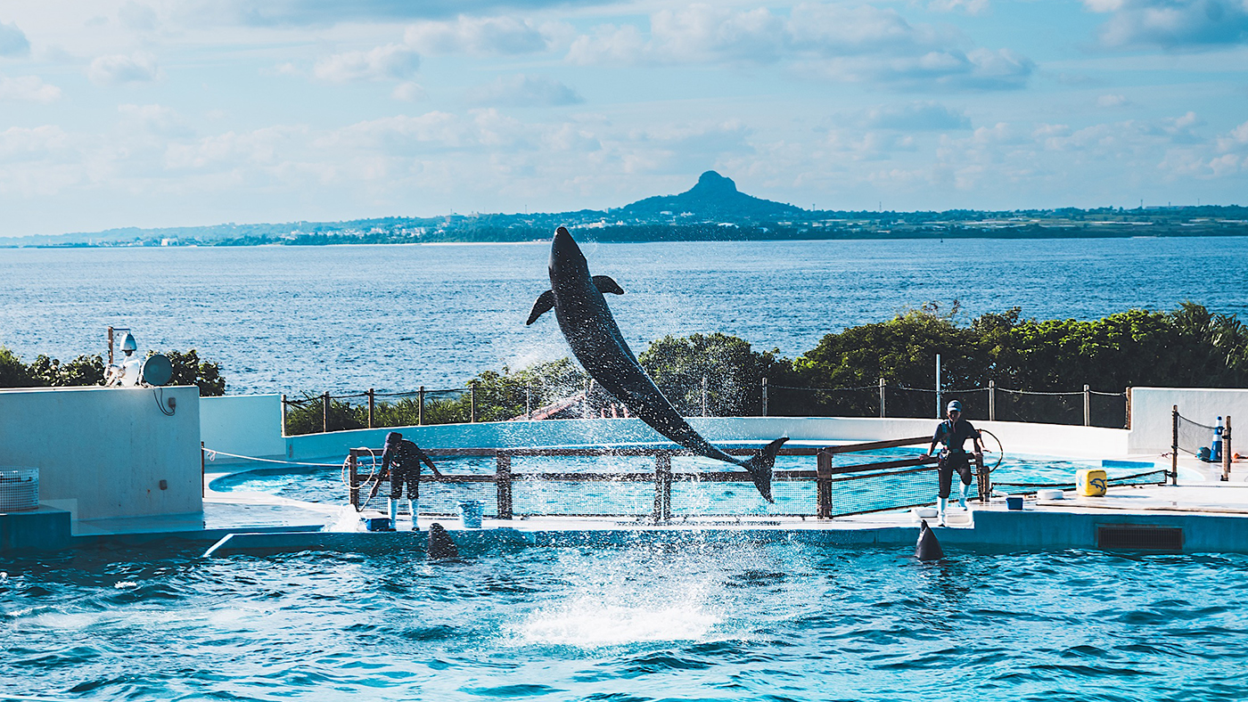 (주)위티브, 2025 오키나와 팀 워크샵 진행 – 협업을 넘어 연결로 나아간 시간