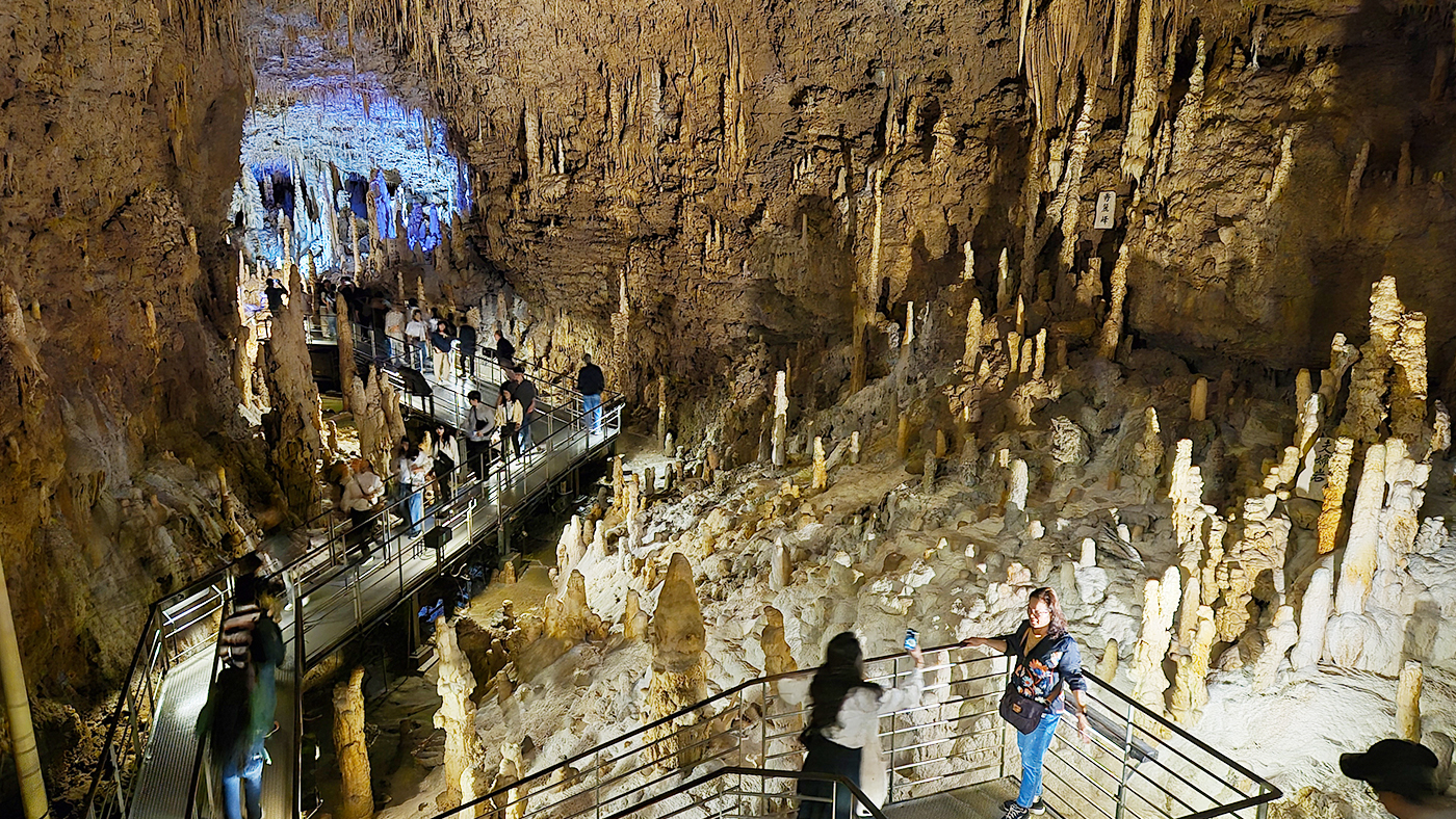 (주)위티브, 2025 오키나와 팀 워크샵 진행 – 협업을 넘어 연결로 나아간 시간