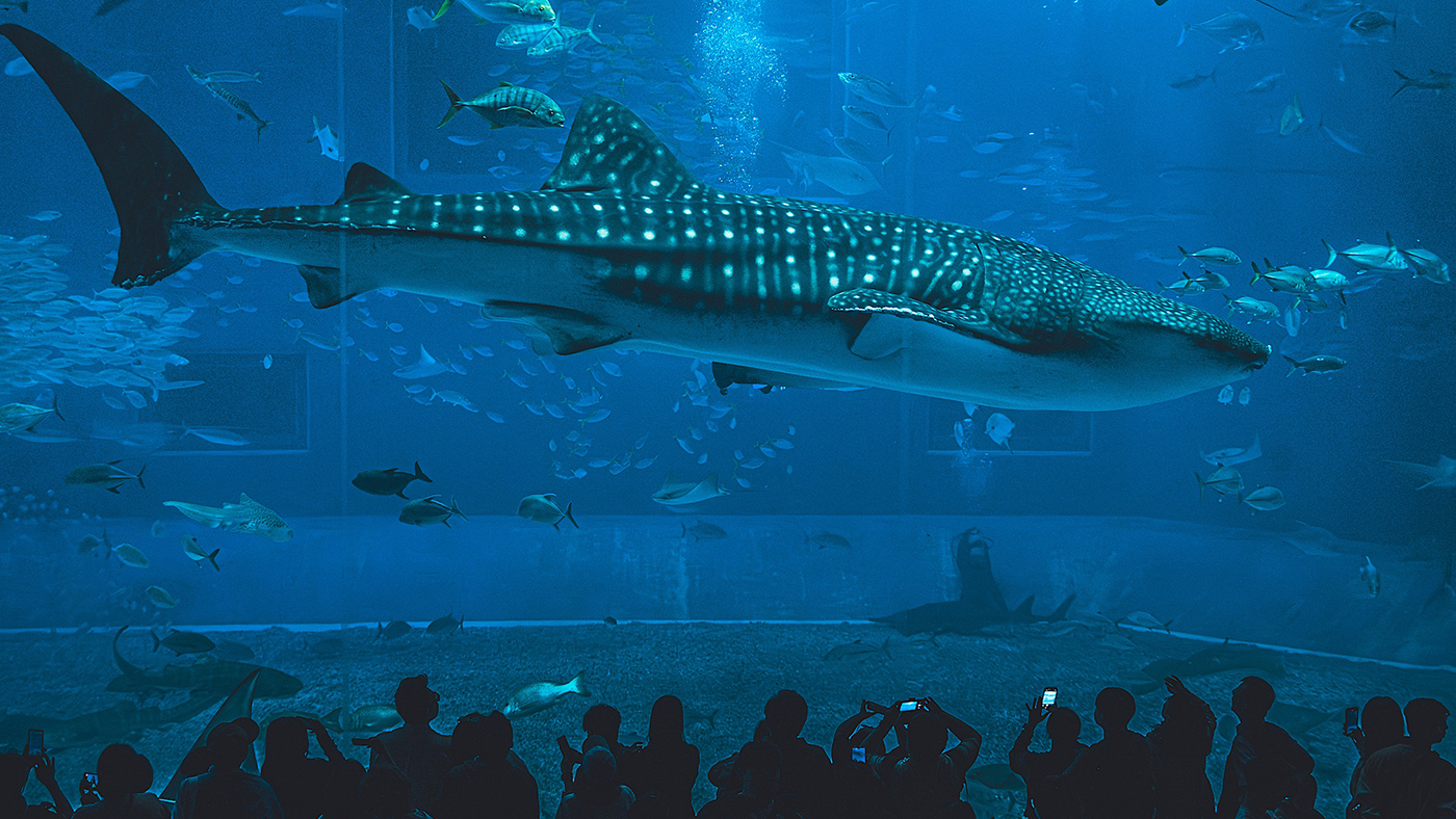 (주)위티브, 2025 오키나와 팀 워크샵 진행 – 협업을 넘어 연결로 나아간 시간