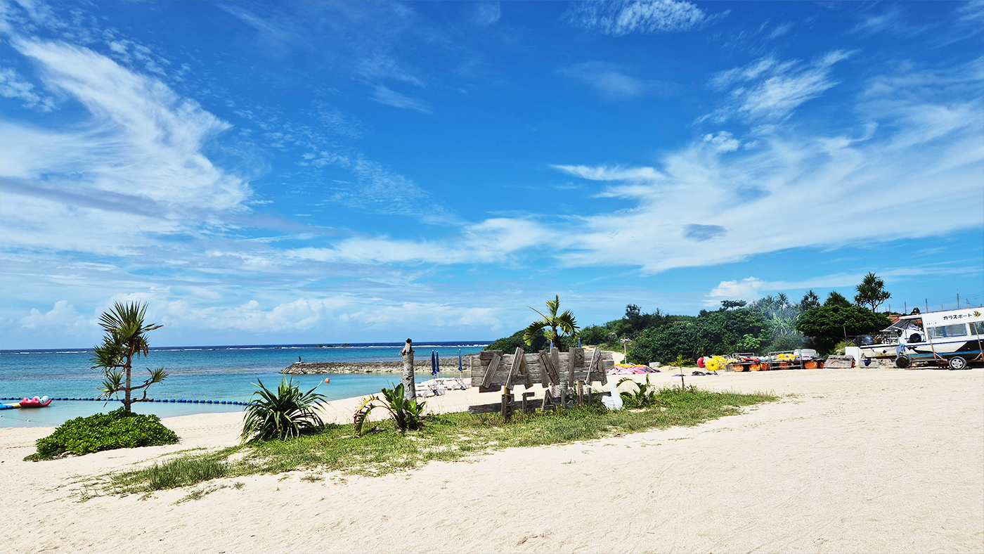 Team immersion program in Okinawa